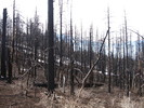photo thumbnail #7