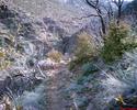 photo thumbnail #14