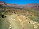 photo thumbnail #13