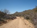 recent photo