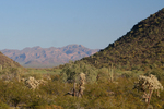 photo thumbnail #6