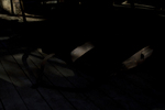 photo thumbnail #10