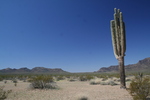 photo thumbnail #10