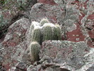 photo thumbnail #10