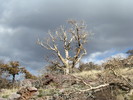photo thumbnail #11