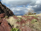 photo thumbnail #12