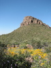 photo thumbnail #3