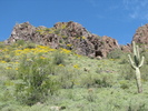photo thumbnail #4