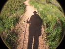 photo thumbnail #11