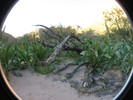 recent photo