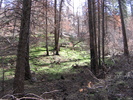 photo thumbnail #2