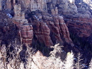 recent photo