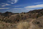 photo thumbnail #9