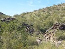 photo thumbnail #3