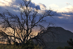 photo thumbnail #13