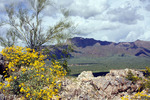 photo thumbnail #12