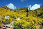 photo thumbnail #15