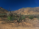 photo thumbnail #5