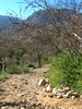 photo thumbnail #8