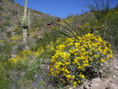 photo thumbnail #8