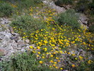 photo thumbnail #11