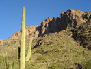 photo thumbnail #10