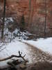 photo thumbnail #1