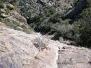 photo thumbnail #9
