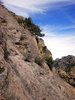 photo thumbnail #11