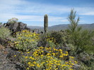 photo thumbnail #3