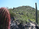 photo thumbnail #4