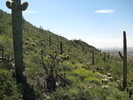 photo thumbnail #5