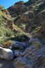 photo thumbnail #8