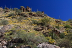 photo thumbnail #9