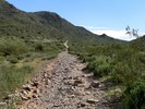 photo thumbnail #3