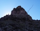 recent photo