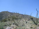 photo thumbnail #3