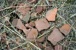 photo thumbnail #8
