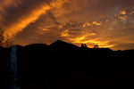 photo thumbnail #11