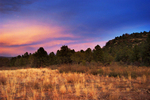 photo thumbnail #13