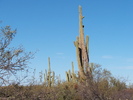 photo thumbnail #6
