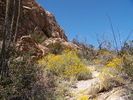 photo thumbnail #3