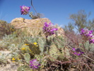 photo thumbnail #5