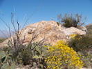 photo thumbnail #6