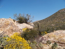 photo thumbnail #7