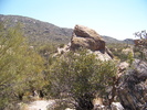 photo thumbnail #13