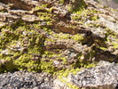 photo thumbnail #14