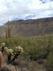 photo thumbnail #1
