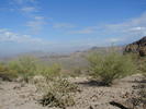 photo thumbnail #3