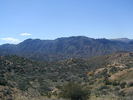 photo thumbnail #3